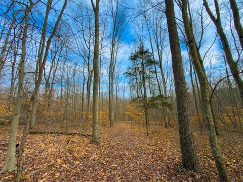 Photo of 0 Long Fork Road, Piketon, OH 45661 (MLS # 226009078)