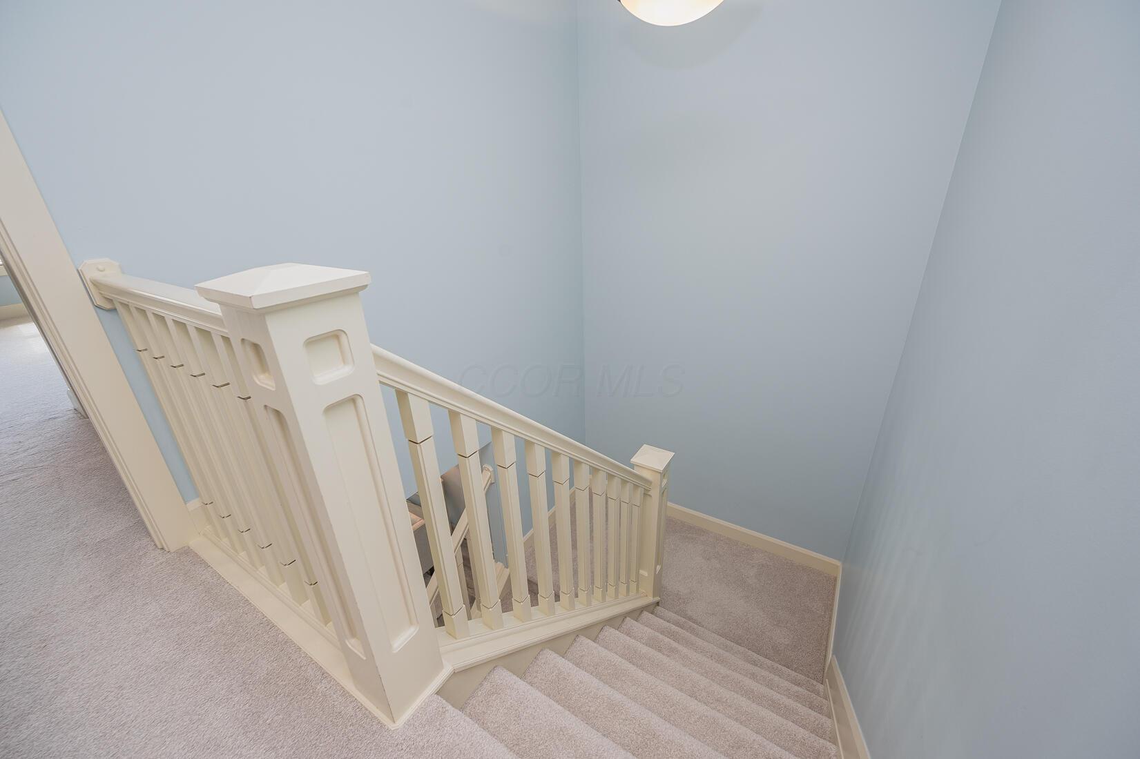 3760 Foresta Grand Drive, Powell, Ohio image 23