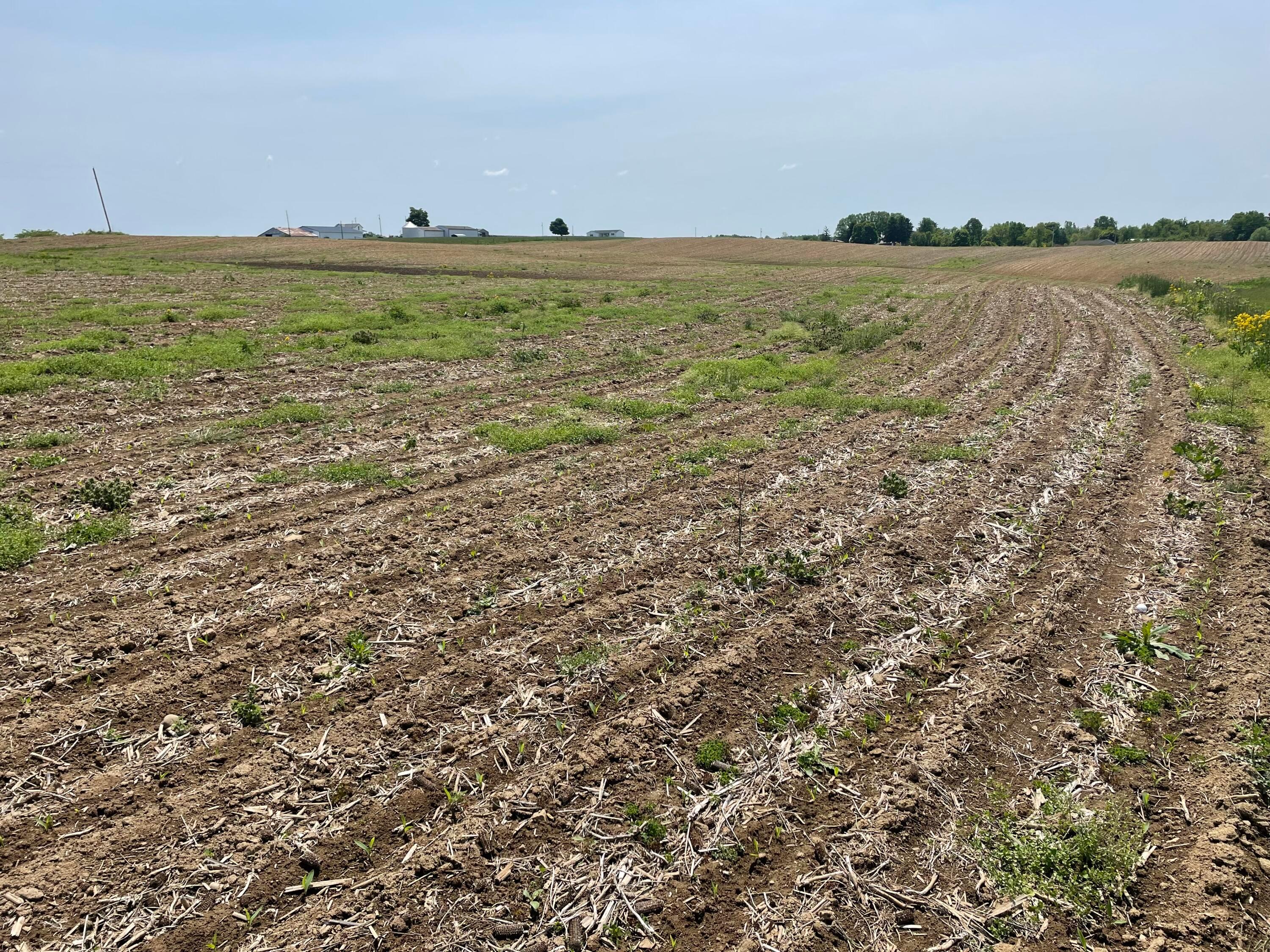 Strickler Road #LOT 6, Amanda, Ohio image 3