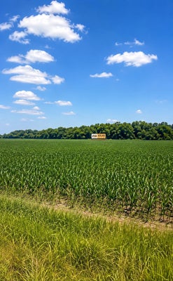 WINCHESTER PIKE, COLUMBUS, OH 43232 - Image c7eb0607ccfd209cbf0c851c8f9ad295/559764700