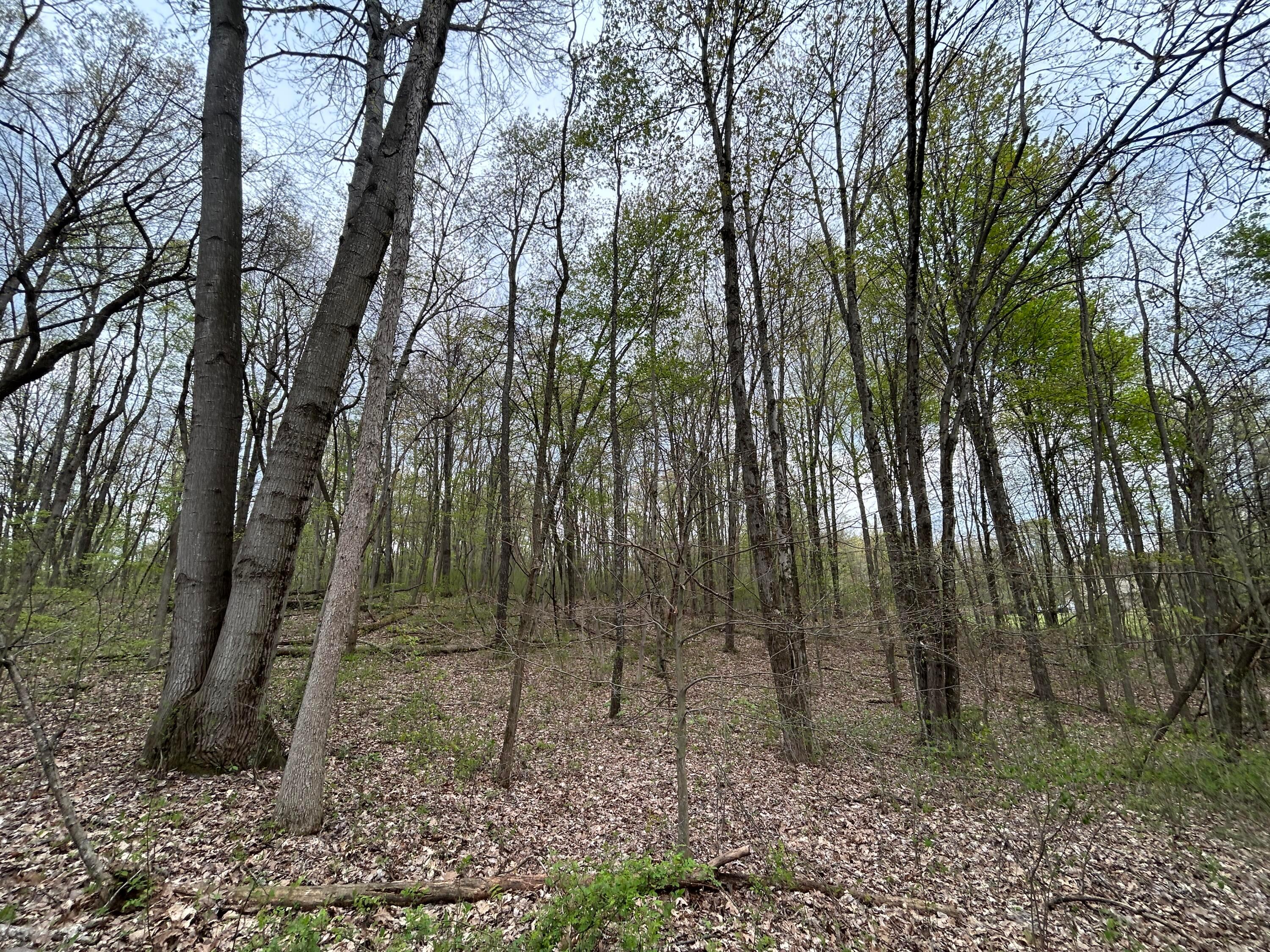 11820 Fallsburg Road, Frazeysburg, Ohio image 33
