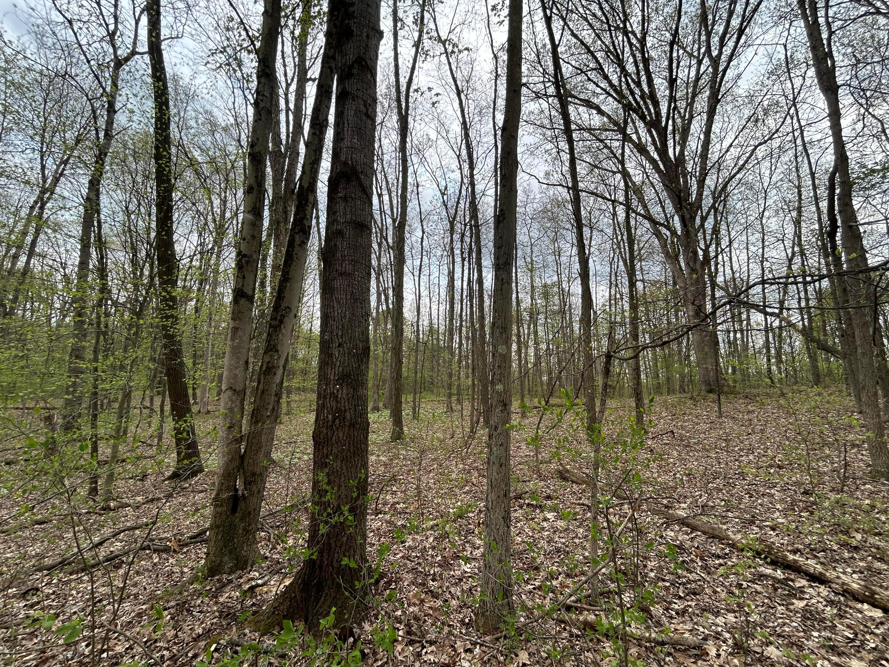 11820 Fallsburg Road, Frazeysburg, Ohio image 34