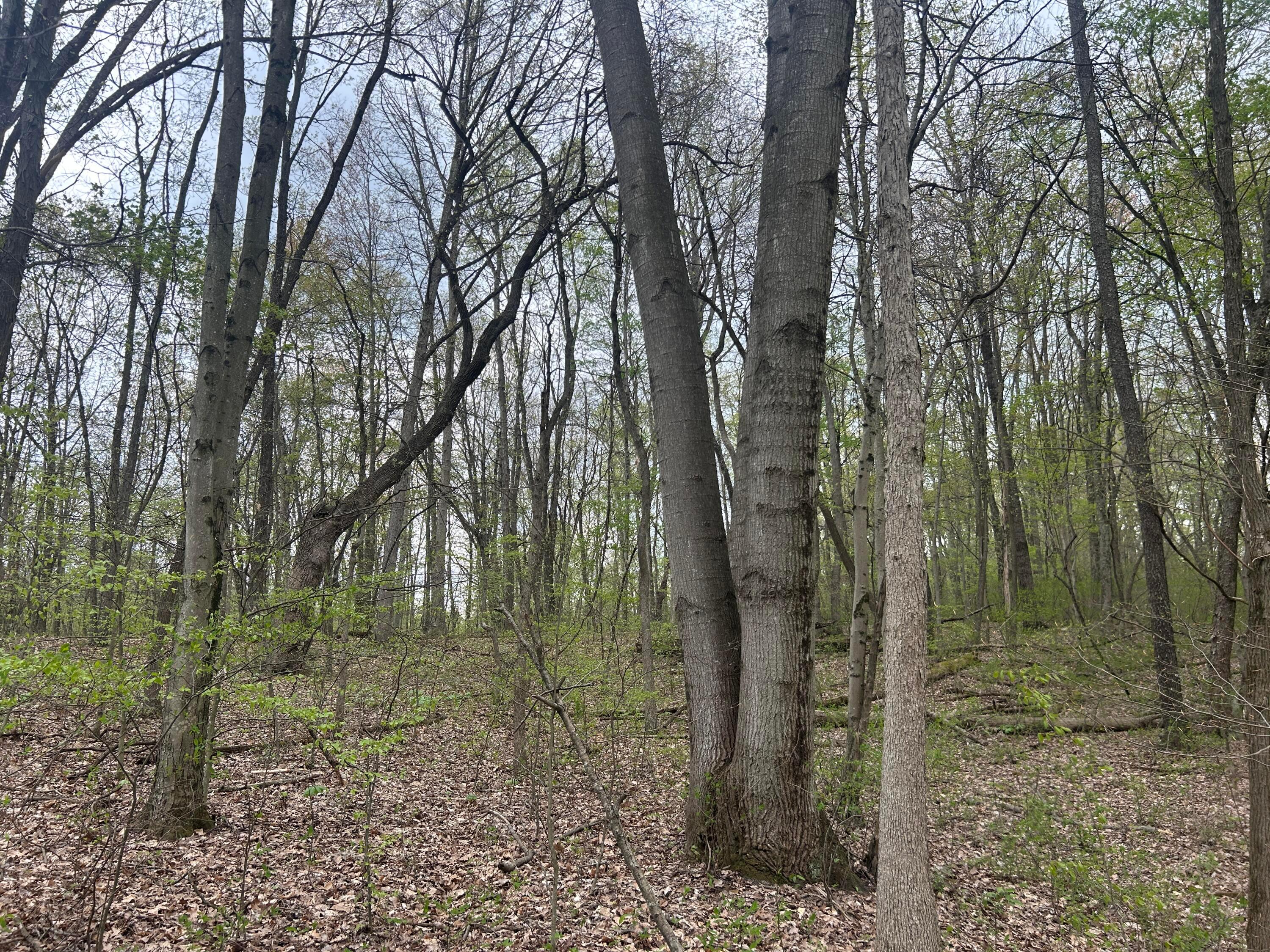 11820 Fallsburg Road, Frazeysburg, Ohio image 32