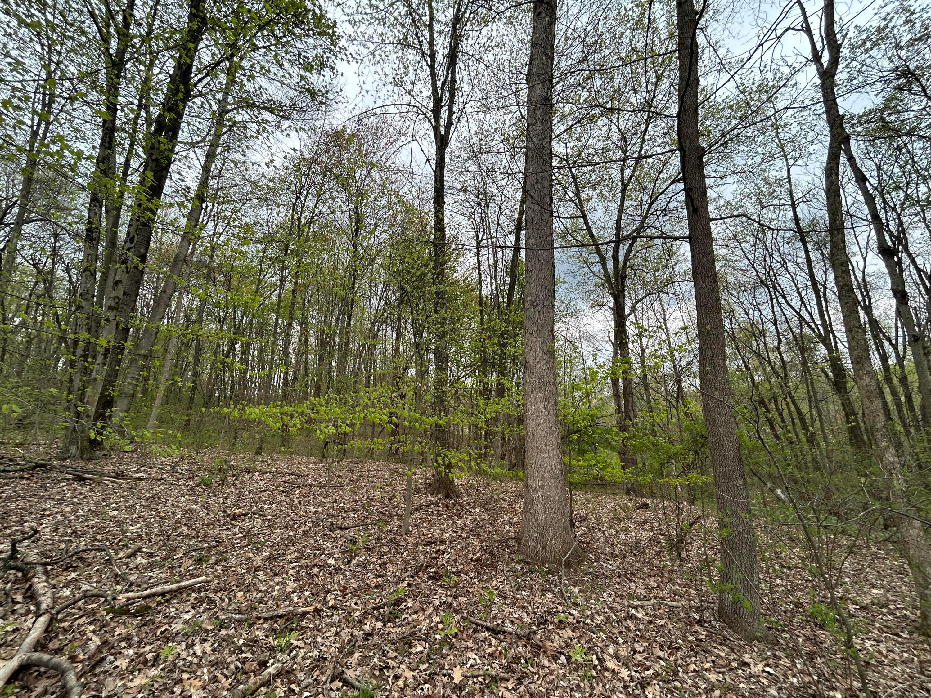11820 Fallsburg Road, Frazeysburg, Ohio image 35