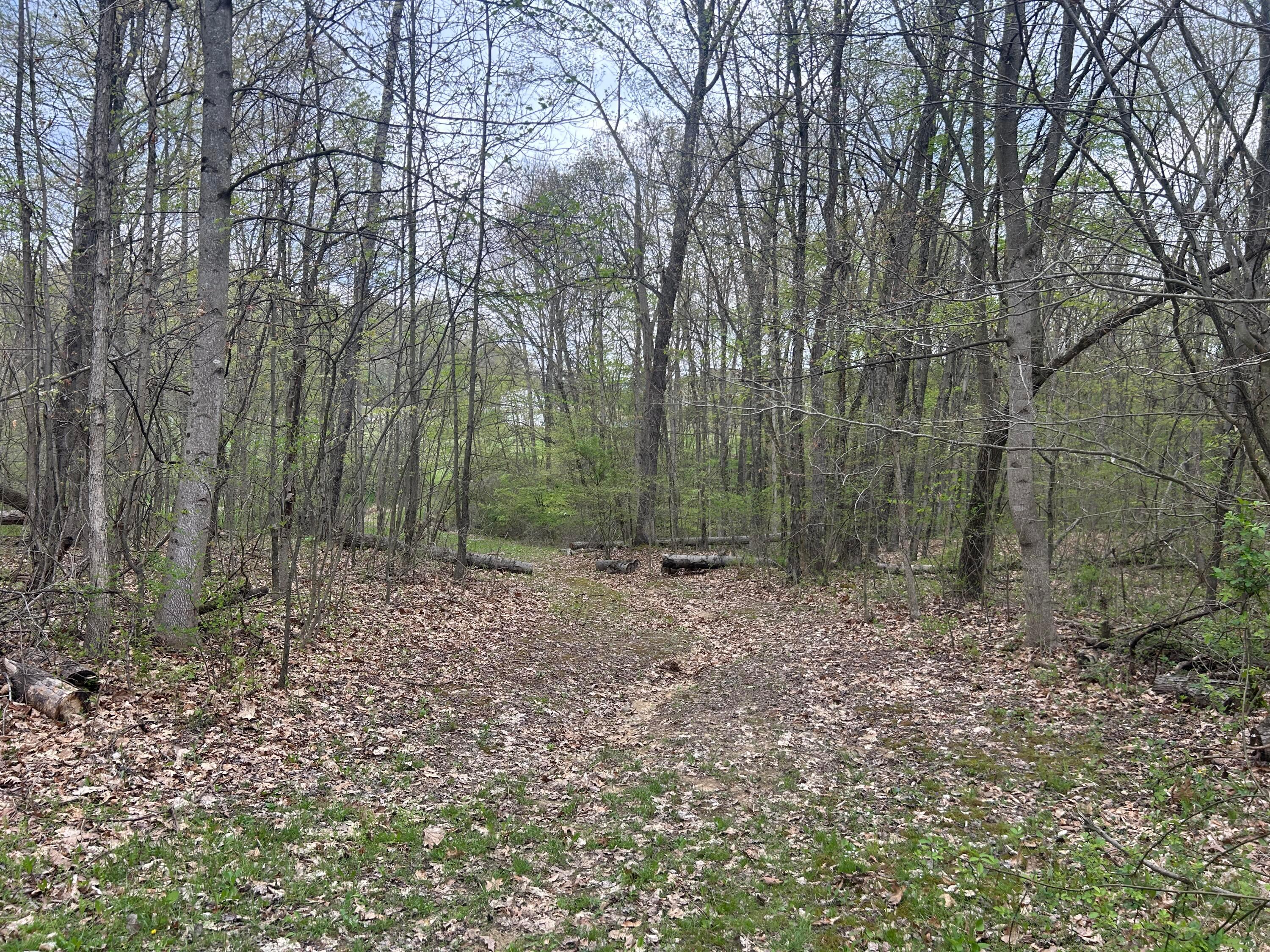 11820 Fallsburg Road, Frazeysburg, Ohio image 38