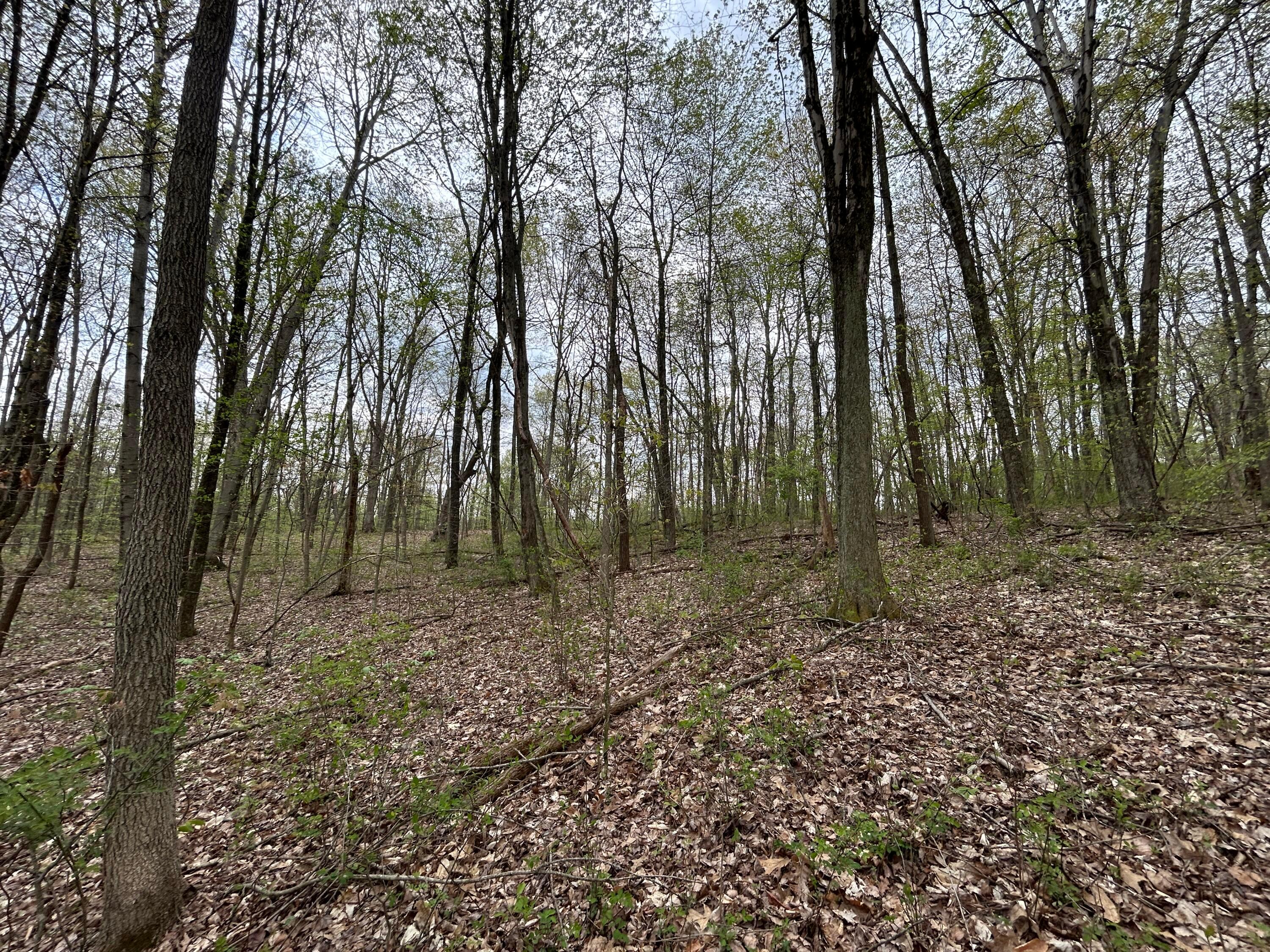 11820 Fallsburg Road, Frazeysburg, Ohio image 31