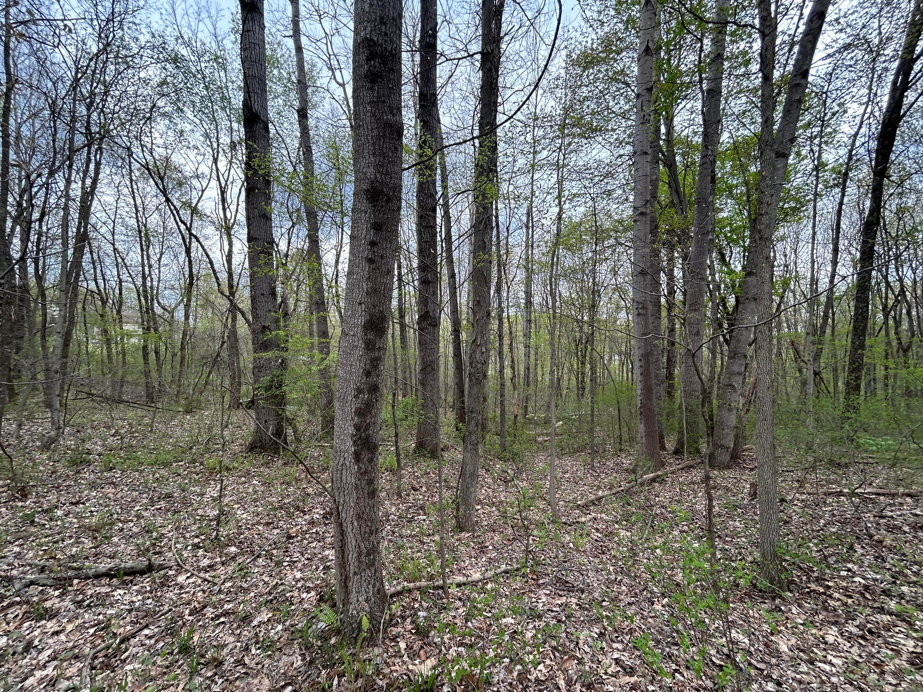 11820 Fallsburg Road, Frazeysburg, Ohio image 36