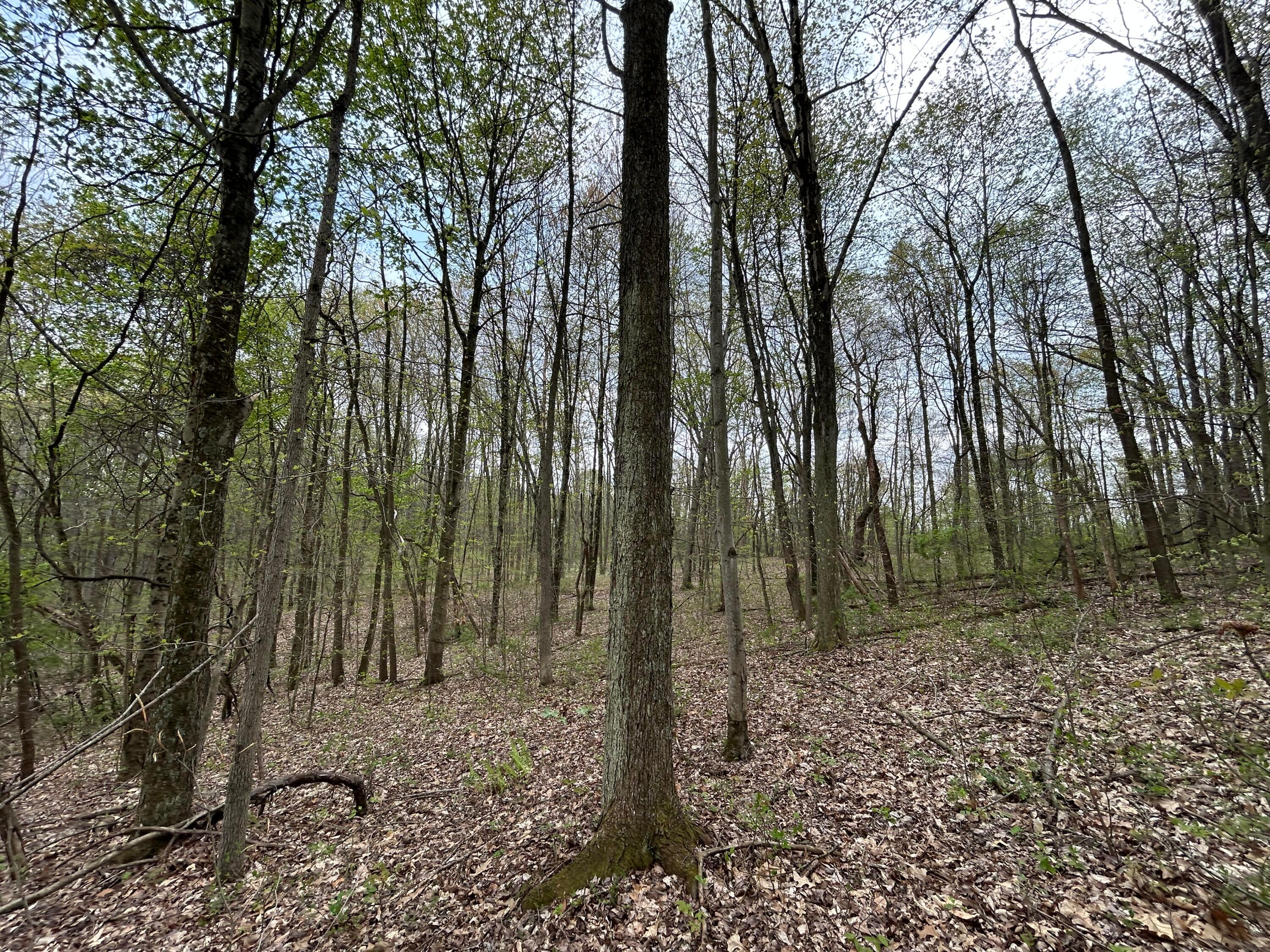 11820 Fallsburg Road, Frazeysburg, Ohio image 30