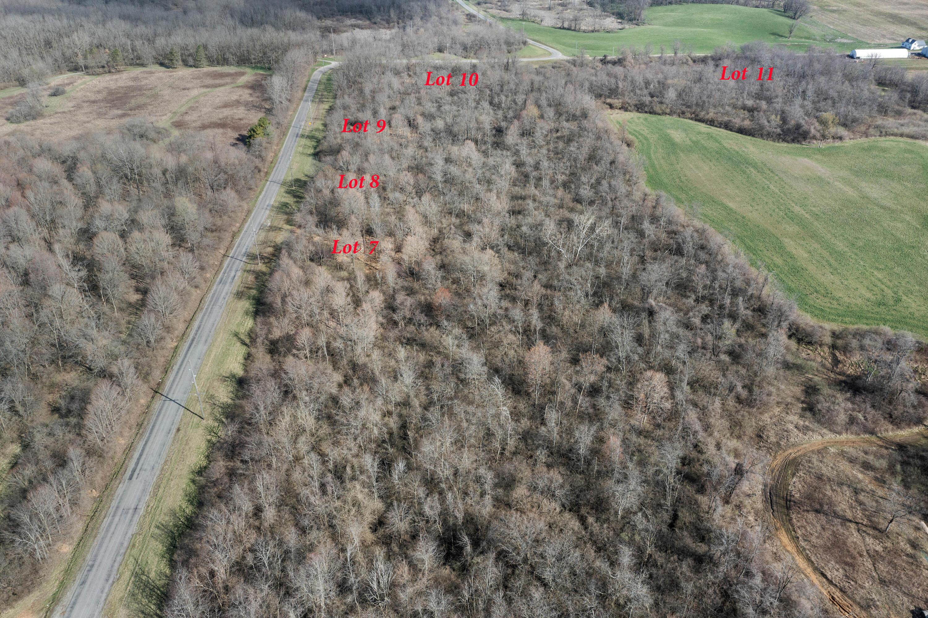 Cox Rd. Lot 10, North Lewisburg, Ohio image 9