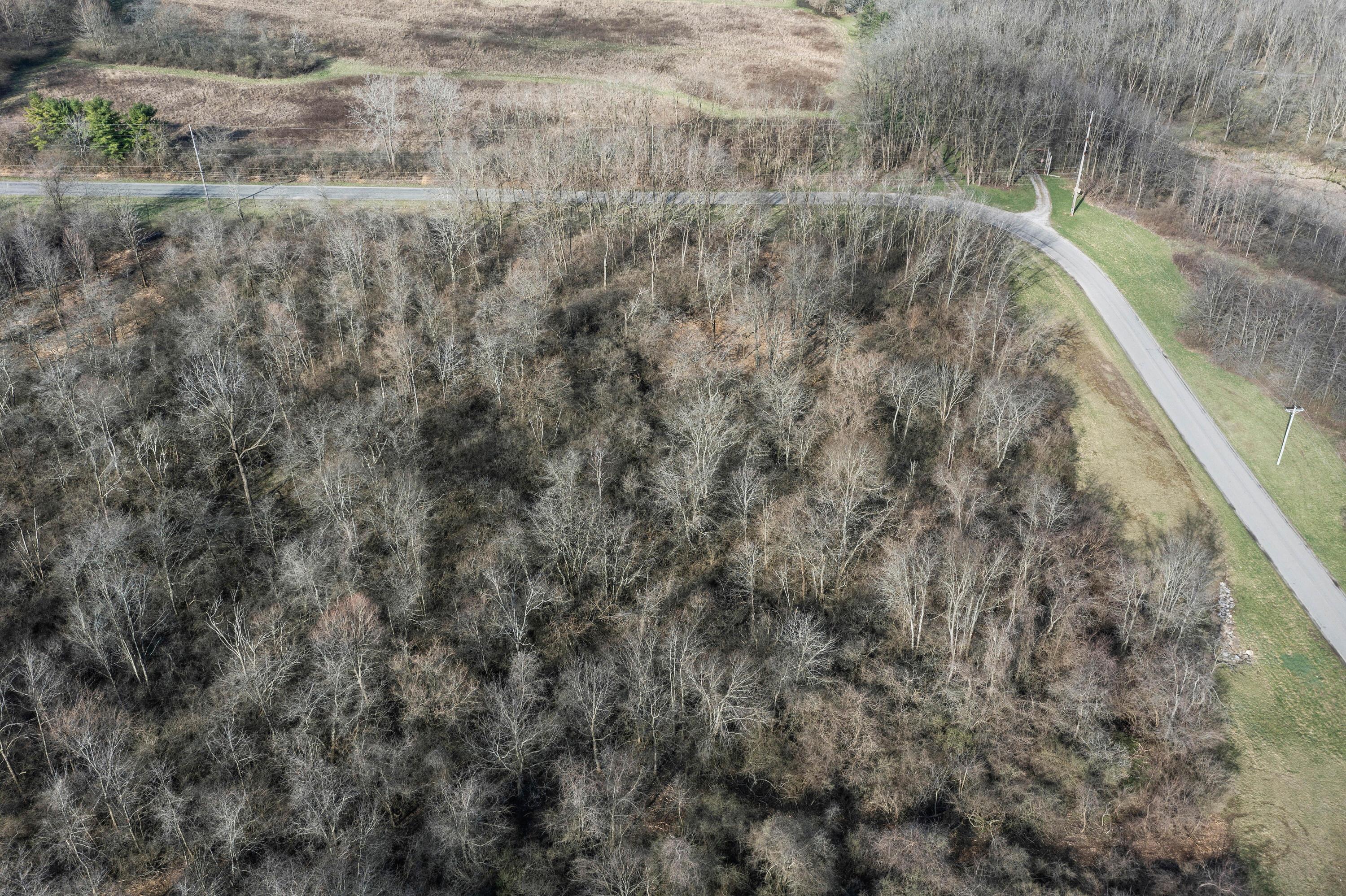 Cox Rd. Lot 10, North Lewisburg, Ohio image 3