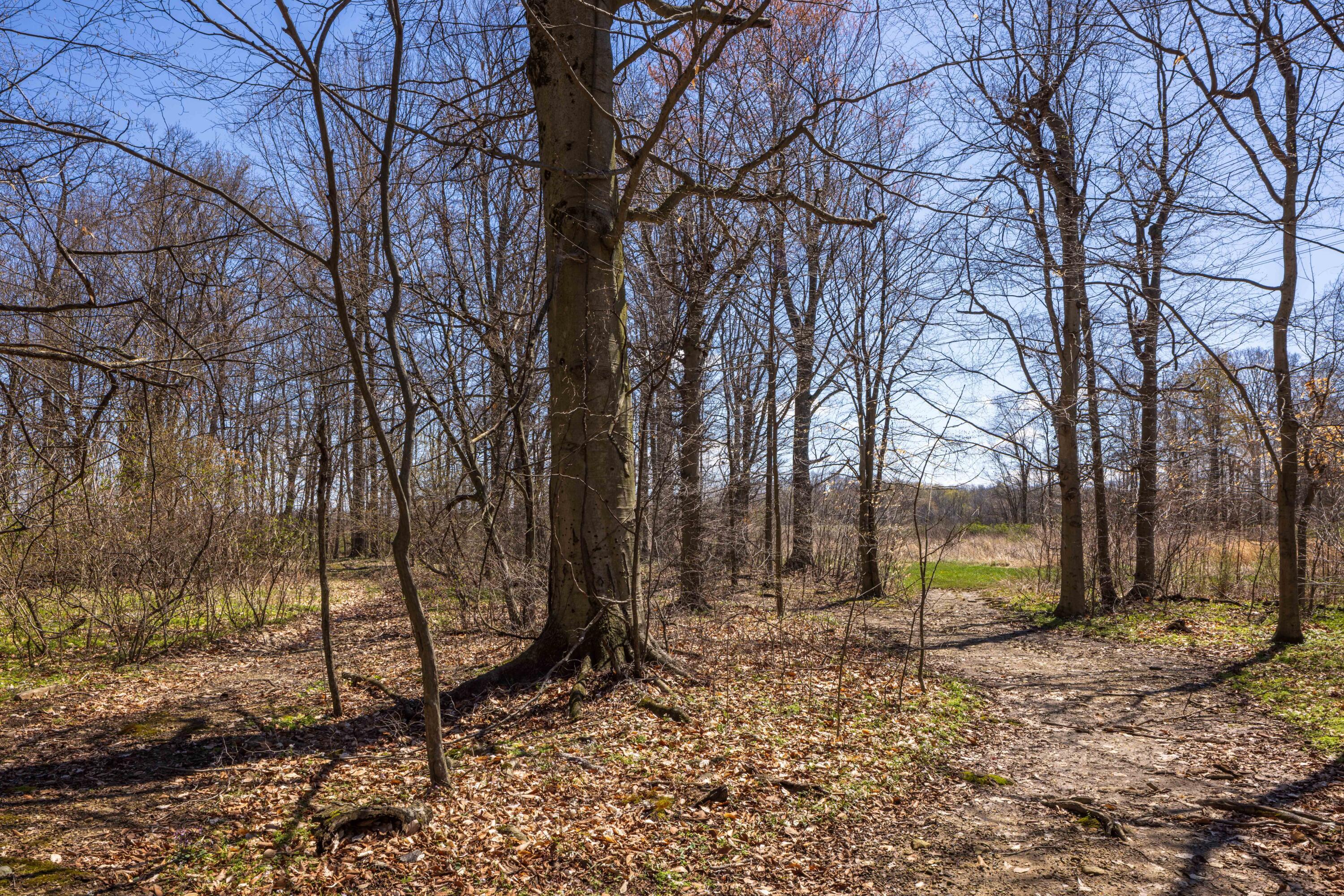 9704 Loudon Street, Johnstown, Ohio image 17