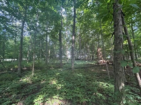 Vacant Land For Sale - 5387 Dildine Road<br/> Delaware, OH 43015