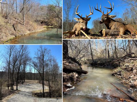 Vacant Land For Sale - Dutch Ridge Road #WOODS TURKEY RUN TRACT 6<br/> Perry County, New Lexington, OH 43764