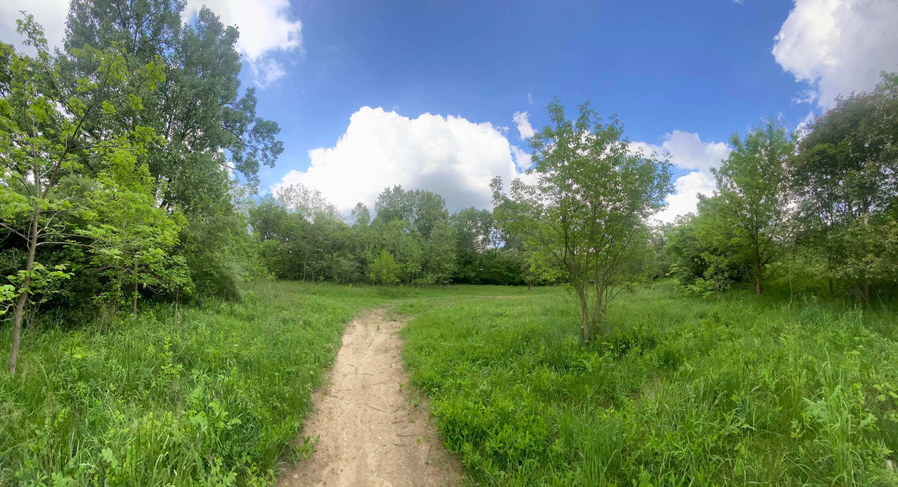 Woodville Road #LOT 14952, 14953, Mansfield, Ohio image 13