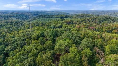 Tiny photo for 24601 Pole Ridge Road, South Bloomingville, OH 43152 (MLS # 226033306)