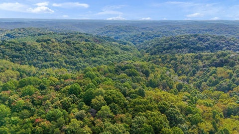 Tiny photo for 24601 Pole Ridge Road, South Bloomingville, OH 43152 (MLS # 226033306)