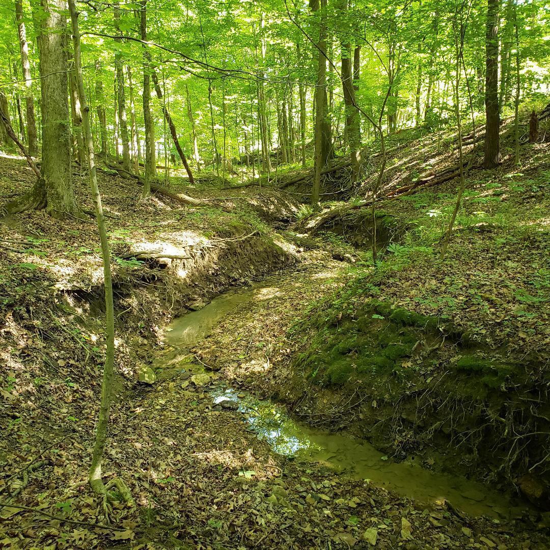 9077 Mulberry Road, Mount Perry, Ohio image 3