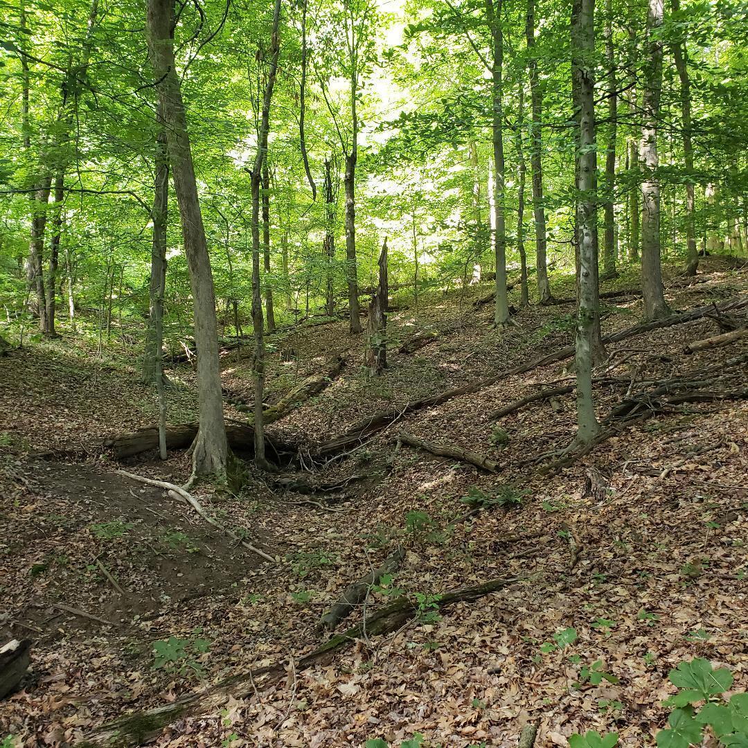 9077 Mulberry Road, Mount Perry, Ohio image 11