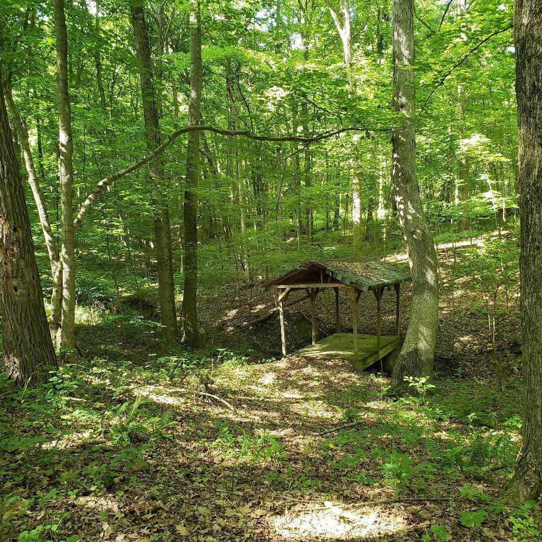 9077 Mulberry Road, Mount Perry, Ohio image 1