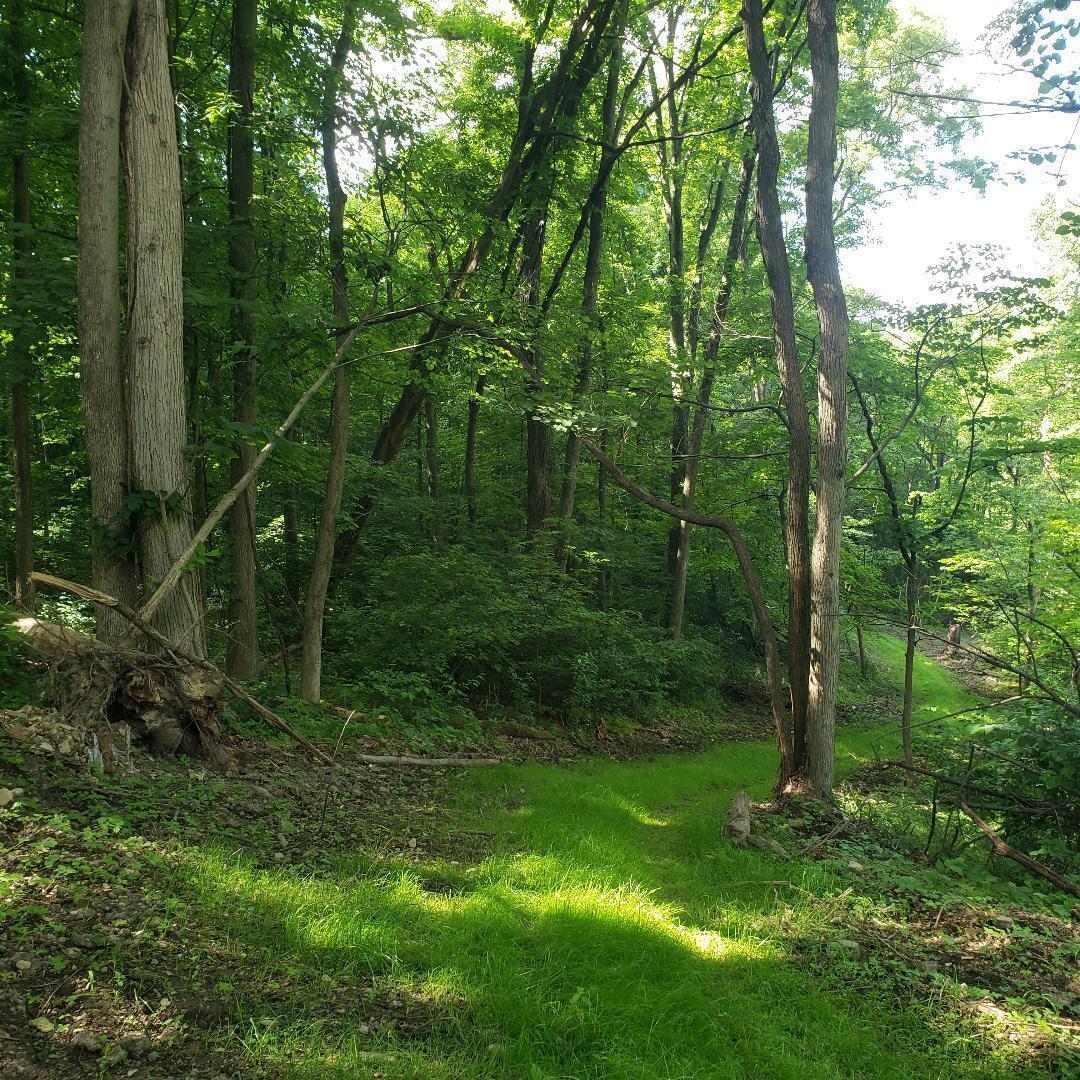 9077 Mulberry Road, Mount Perry, Ohio image 10