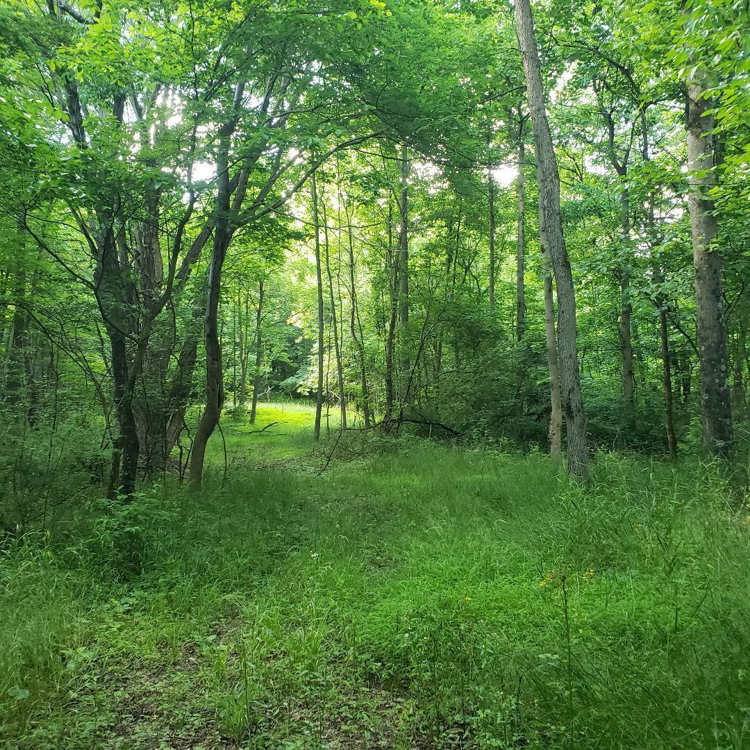 9077 Mulberry Road, Mount Perry, Ohio image 12