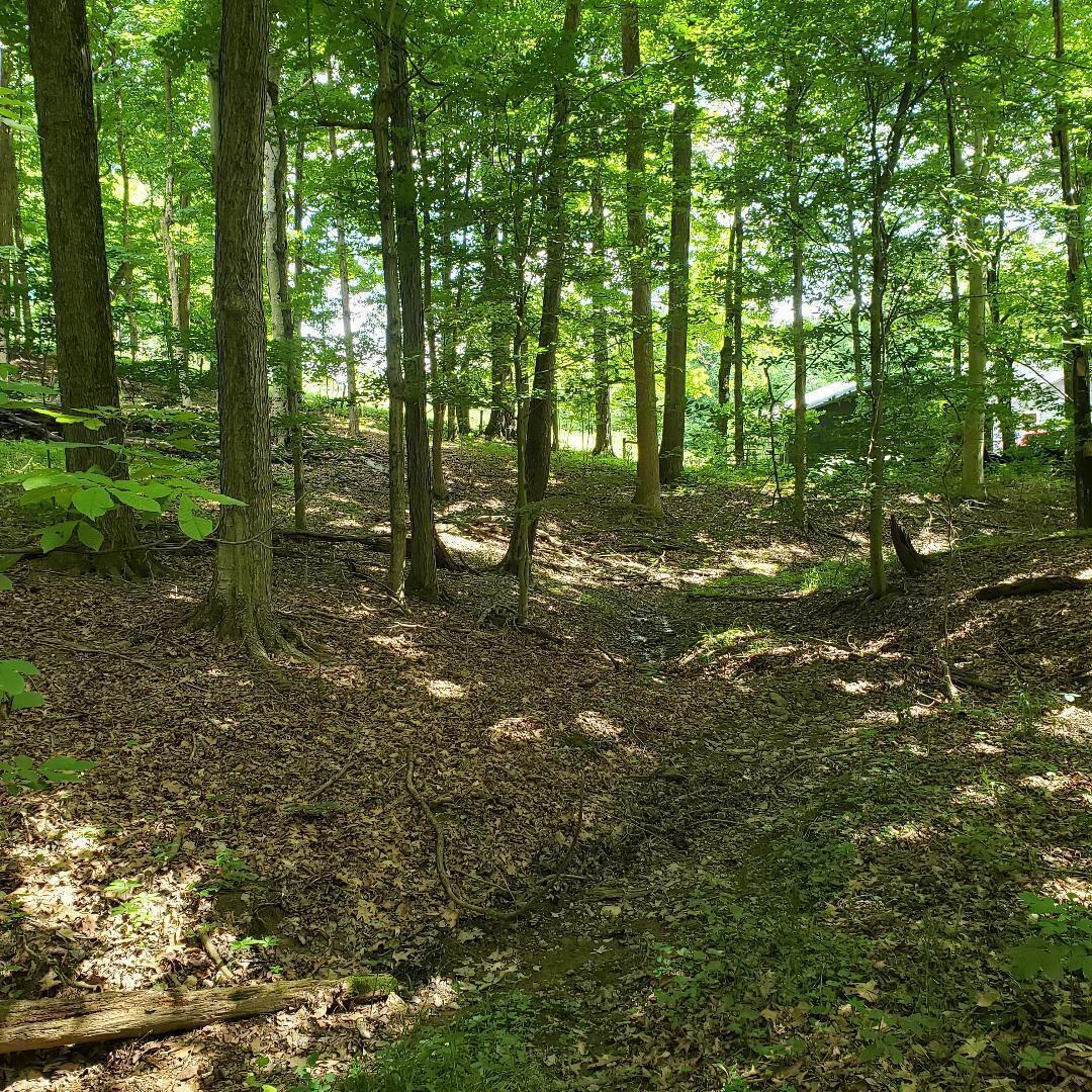 9077 Mulberry Road, Mount Perry, Ohio image 15
