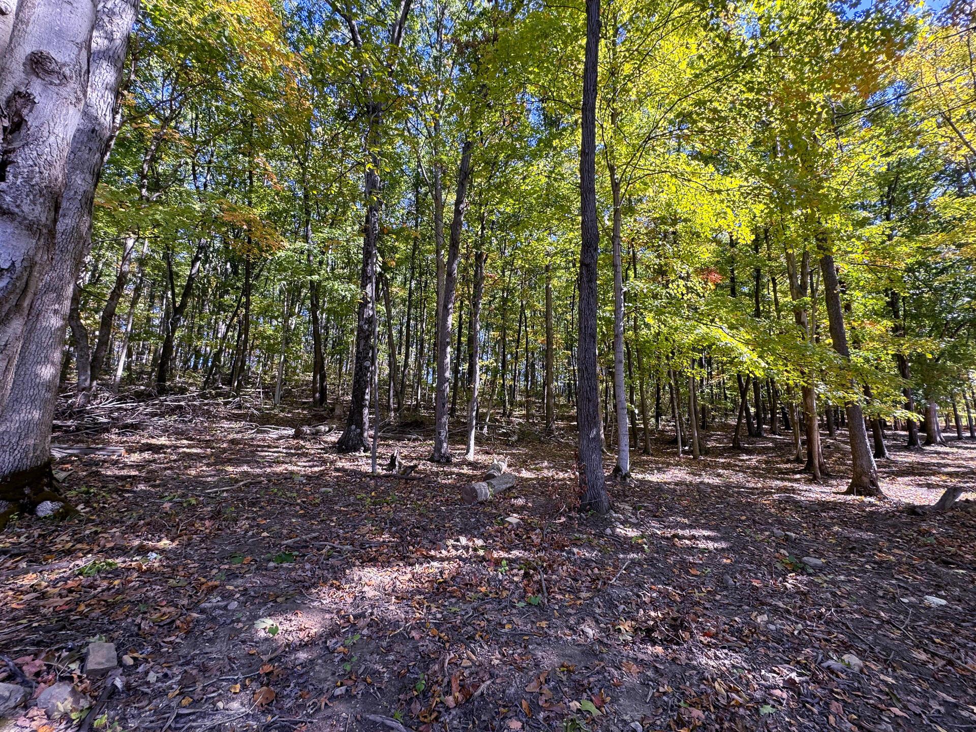 Easterday Road #TRACT 6 AT EASTERDAY WOO, Chillicothe, Ohio image 11