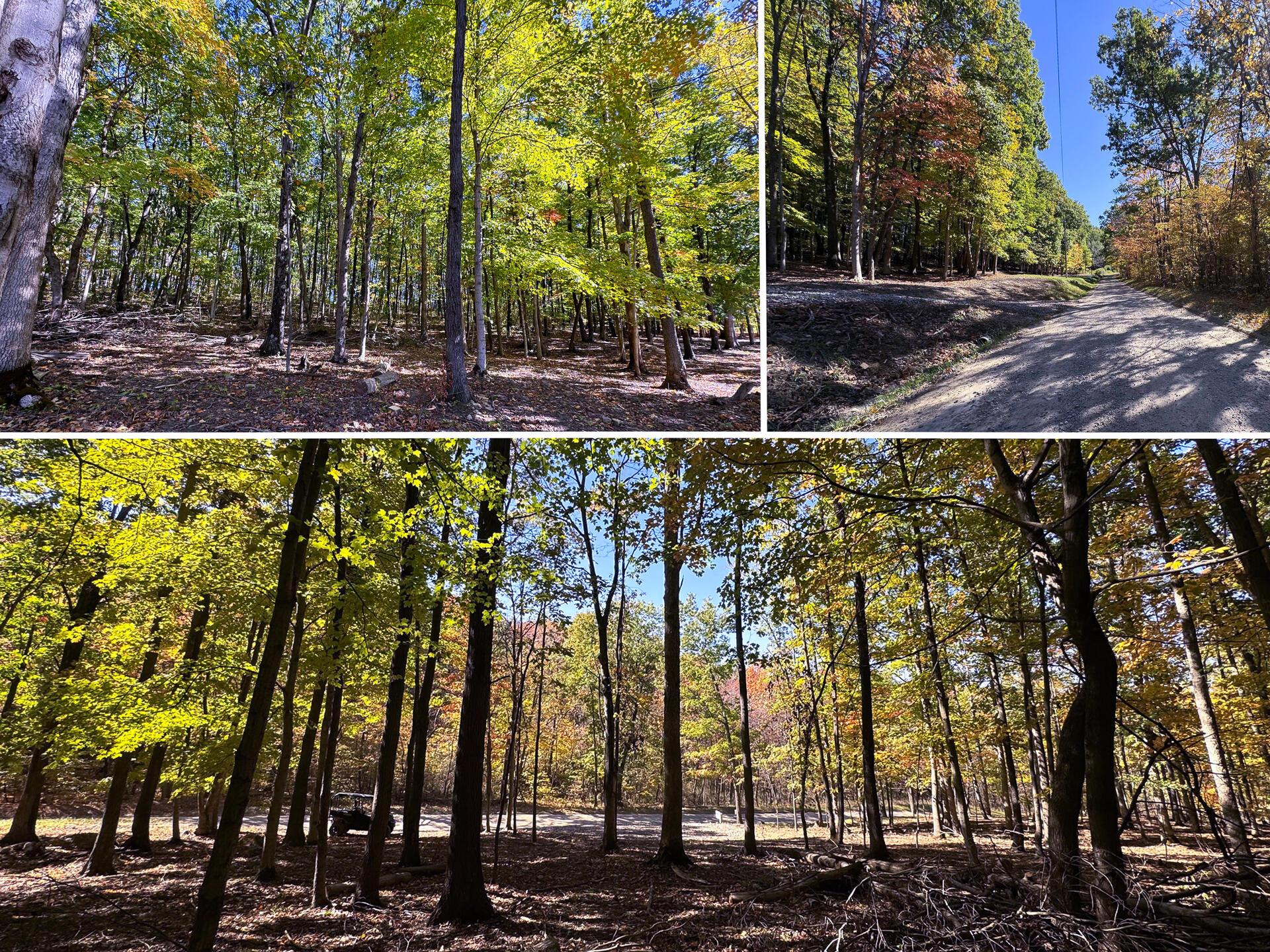 Easterday Road #TRACT 6 AT EASTERDAY WOO, Chillicothe, Ohio image 10