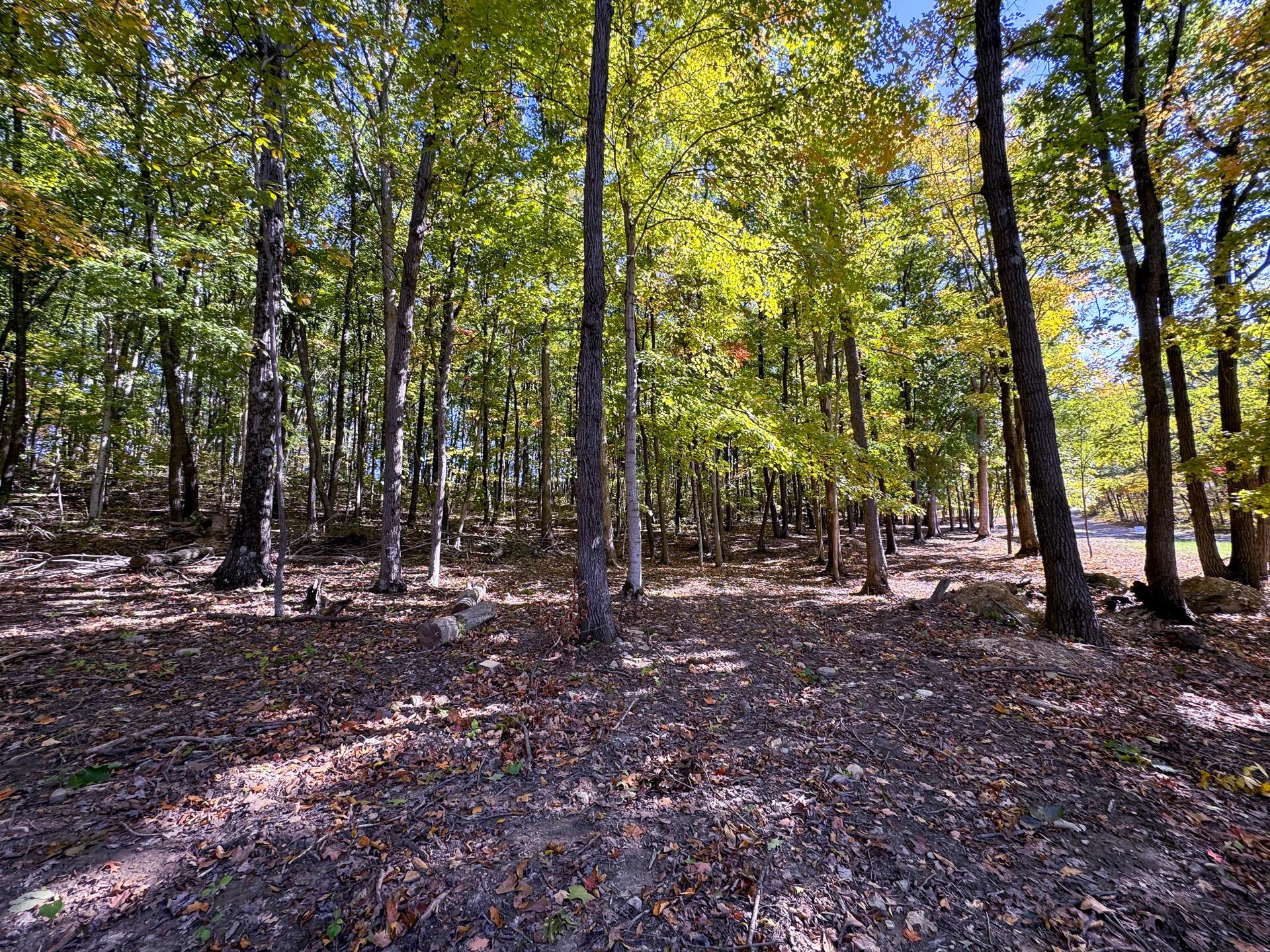 Easterday Road #TRACT 6 AT EASTERDAY WOO, Chillicothe, Ohio image 12