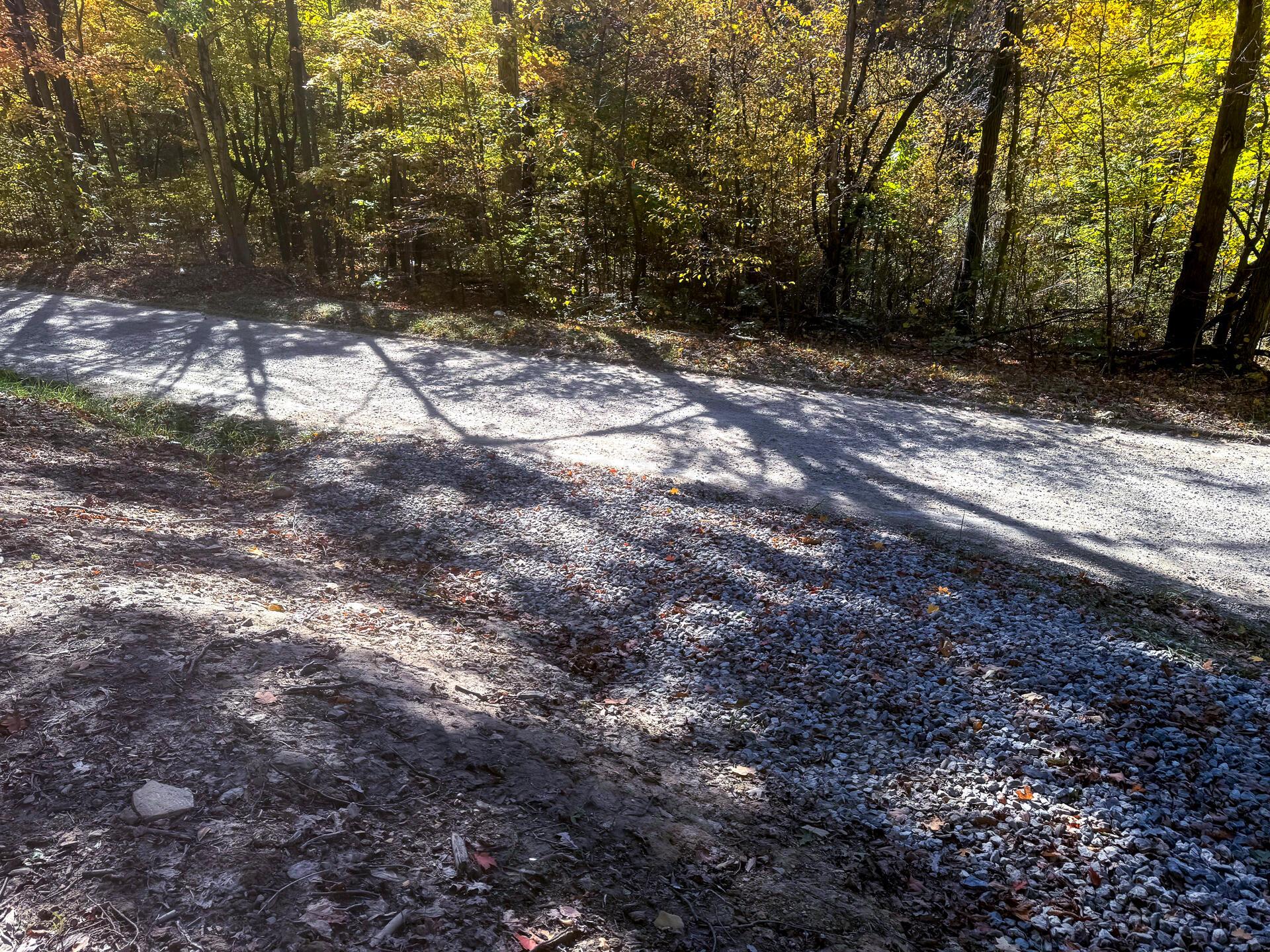 Easterday Road #TRACT 6 AT EASTERDAY WOO, Chillicothe, Ohio image 8