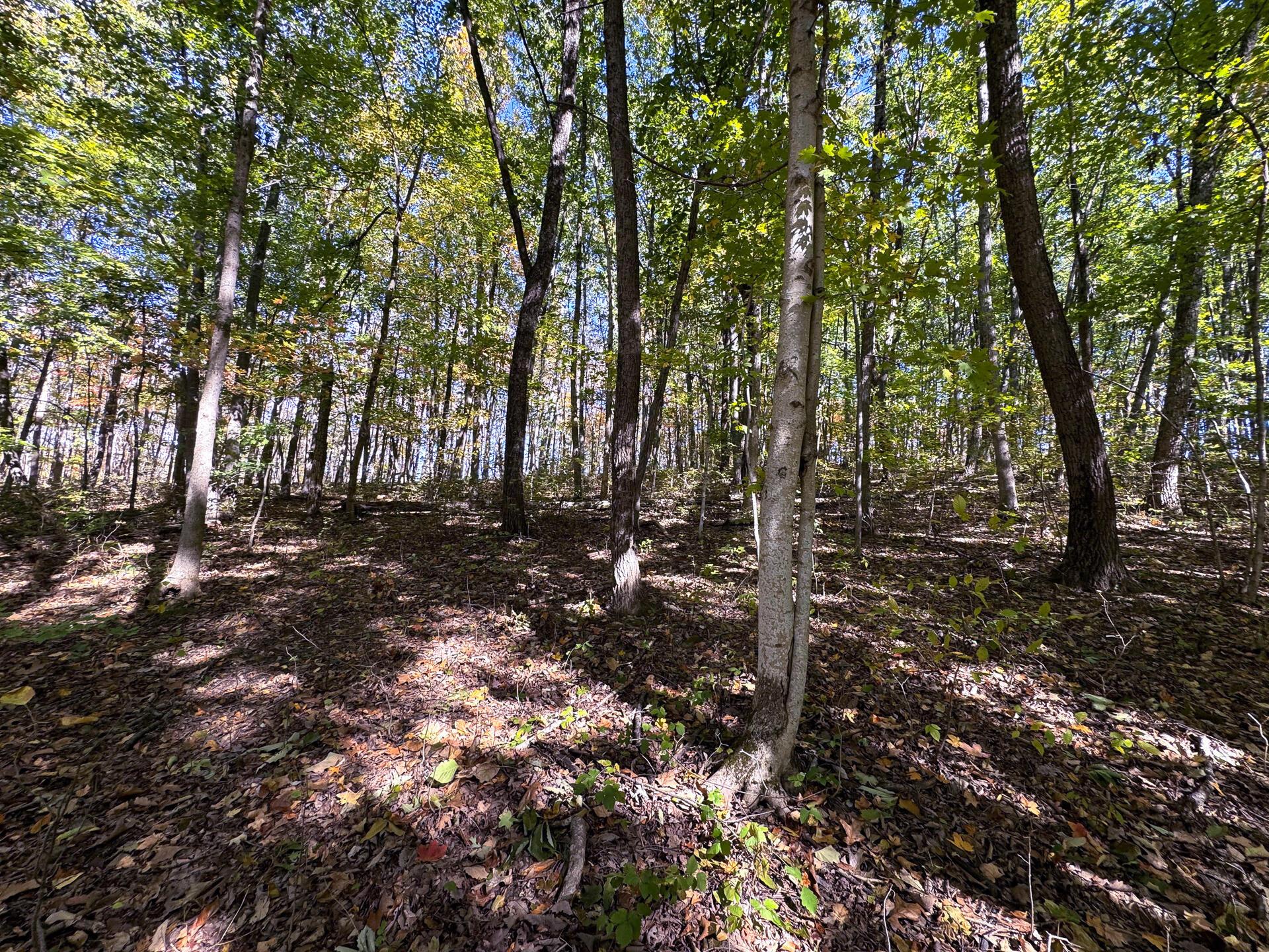 Easterday Road #TRACT 6 AT EASTERDAY WOO, Chillicothe, Ohio image 15