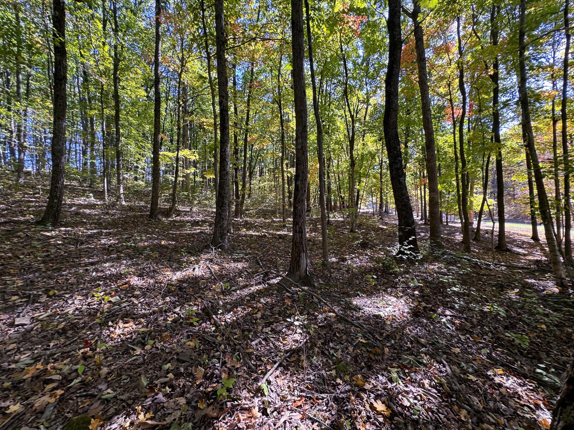 Easterday Road #TRACT 6 AT EASTERDAY WOO, Chillicothe, Ohio image 17