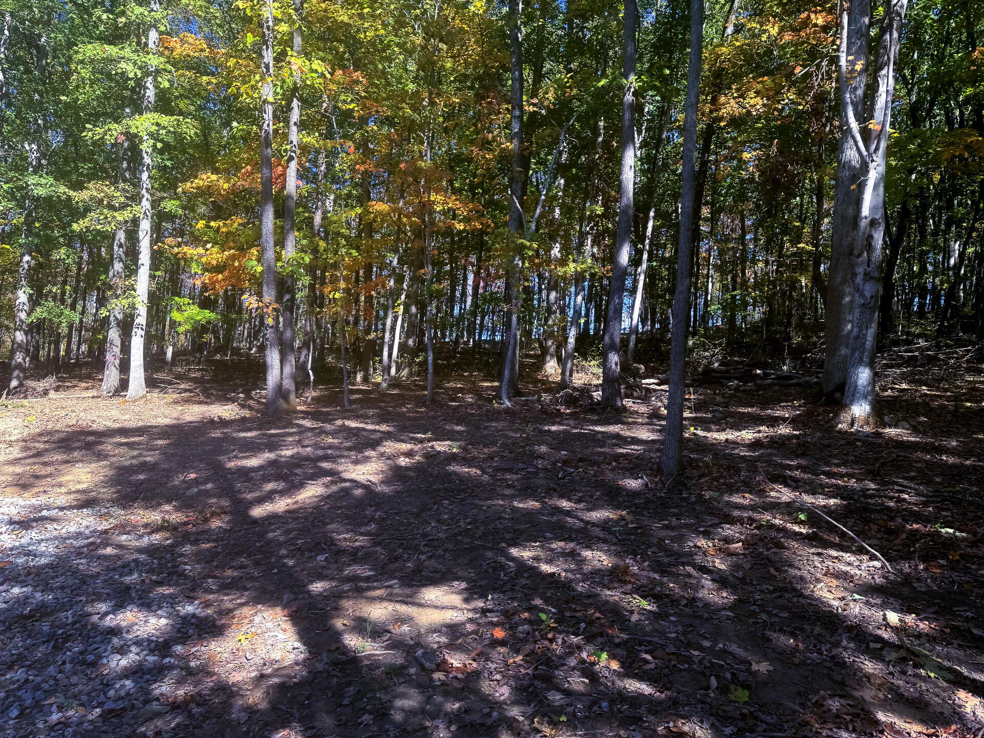 Easterday Road #TRACT 6 AT EASTERDAY WOO, Chillicothe, Ohio image 3
