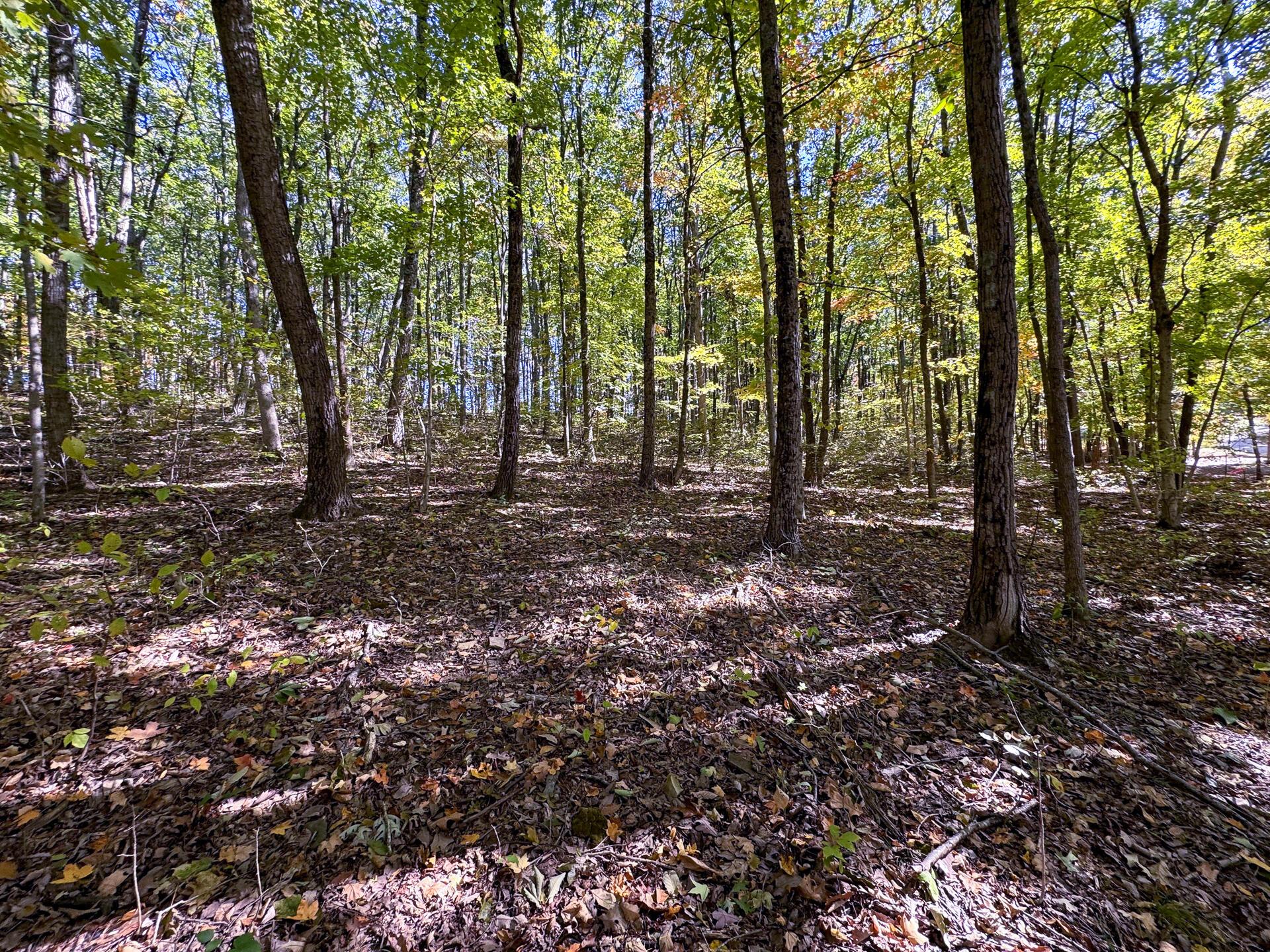 Easterday Road #TRACT 6 AT EASTERDAY WOO, Chillicothe, Ohio image 16