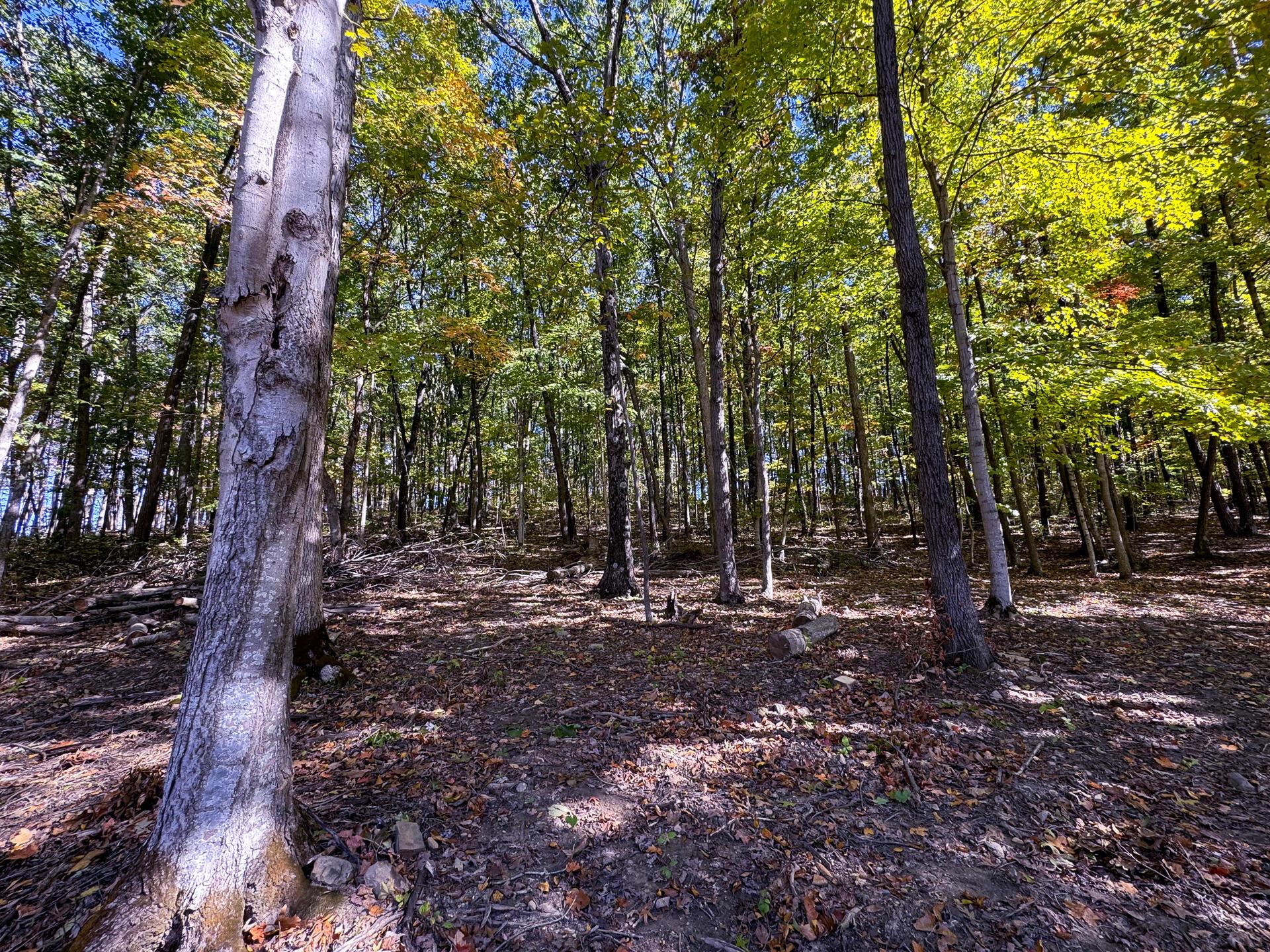 Easterday Road #TRACT 6 AT EASTERDAY WOO, Chillicothe, Ohio image 13