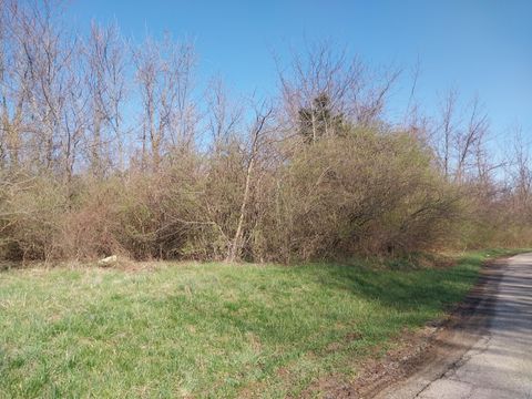 Photo of 0 Briggs Road, Greenfield, OH 45123 (MLS # 226008791)