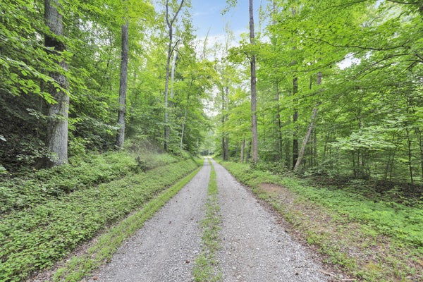 THAD HALL RD, LAURELVILLE, OH 43135 - Image cd36bb06c2b17f5121d2b72130238fe7/2797443836