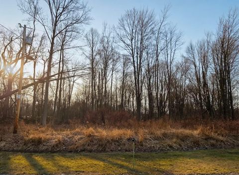 Vacant Land For Sale - 7326 State Route 19 #,UNIT 7, LOT 310<br/> Morrow County, Mount Gilead, OH 43338