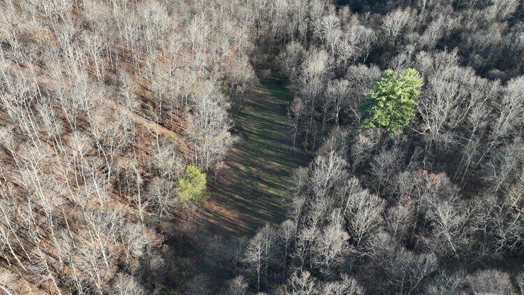Van Zant Road, Langsville, Ohio image 22