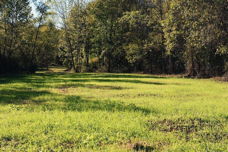 Van Zant Road, Langsville, Ohio image 36