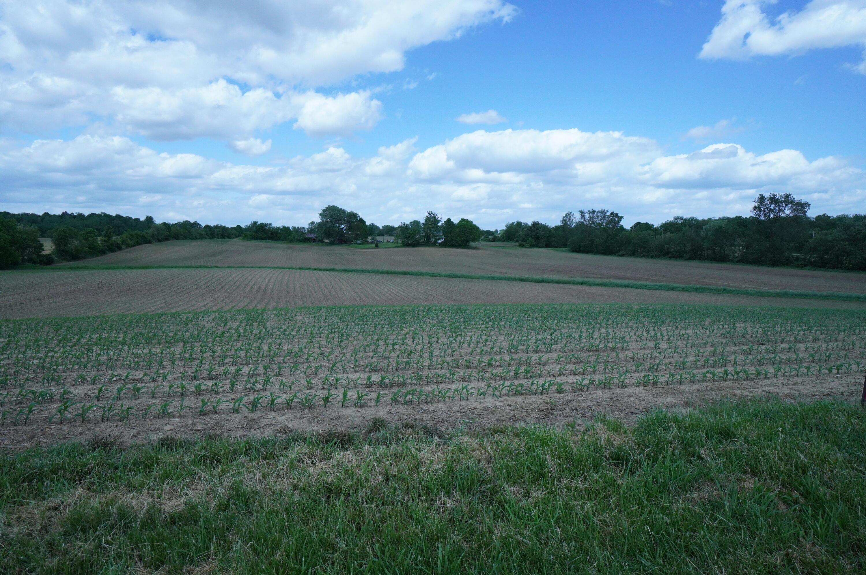 10159 Lake Road, Millersport, Ohio image 1