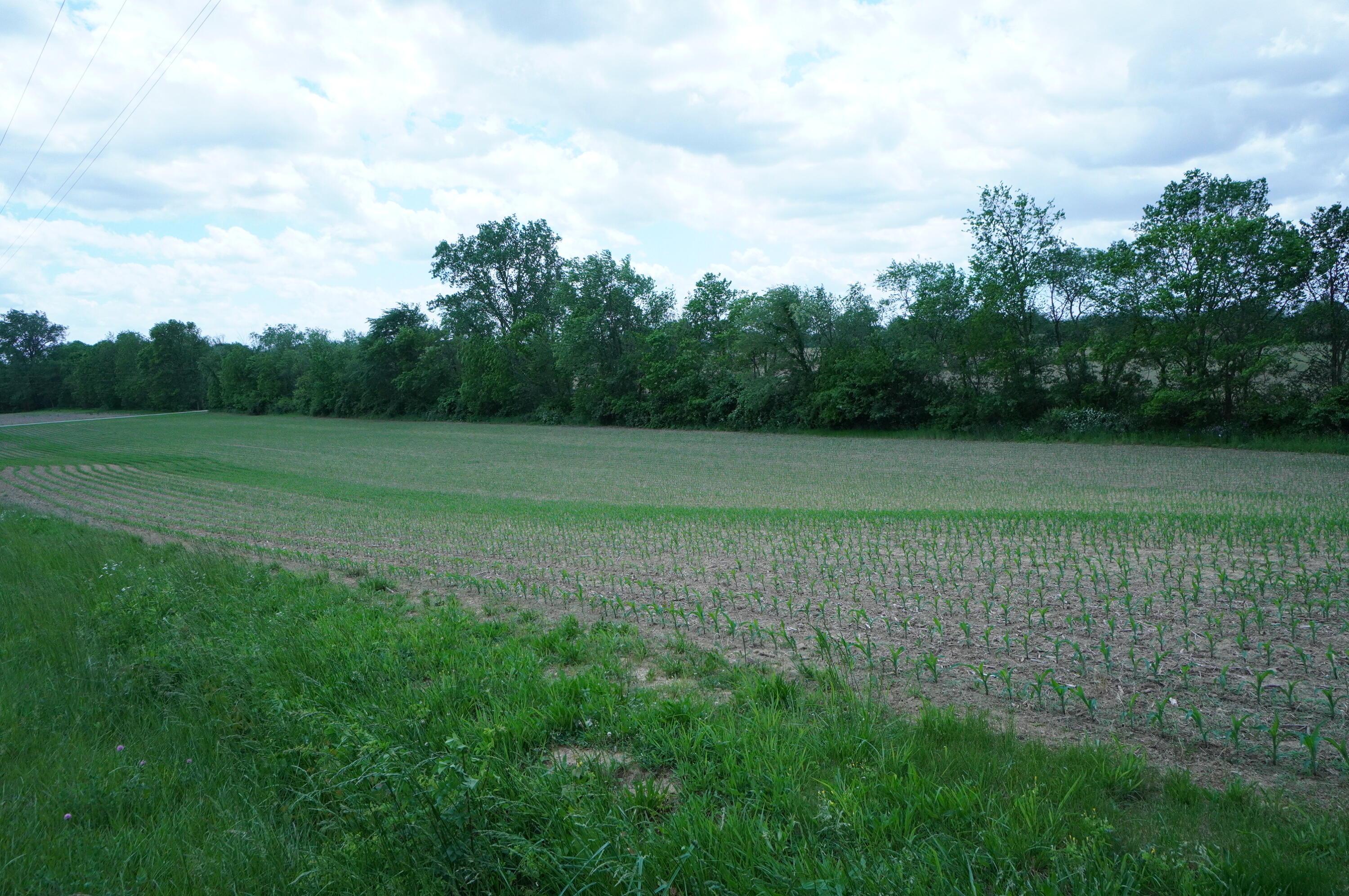 10159 Lake Road, Millersport, Ohio image 6