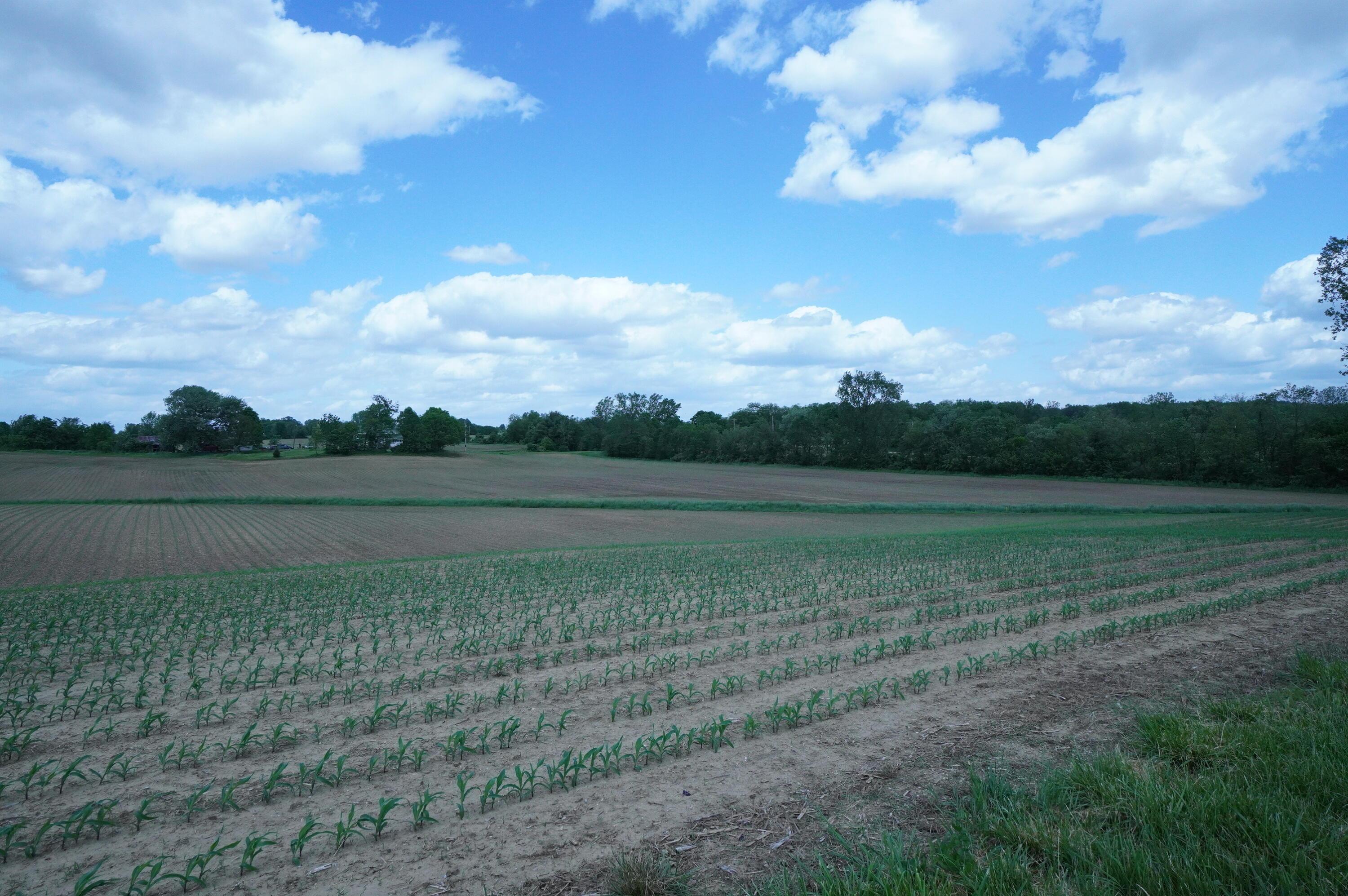 10159 Lake Road, Millersport, Ohio image 2