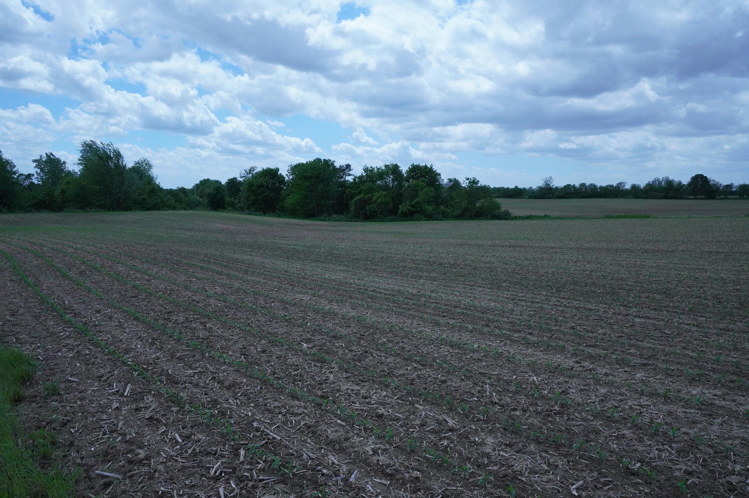 10159 Lake Road, Millersport, Ohio image 10