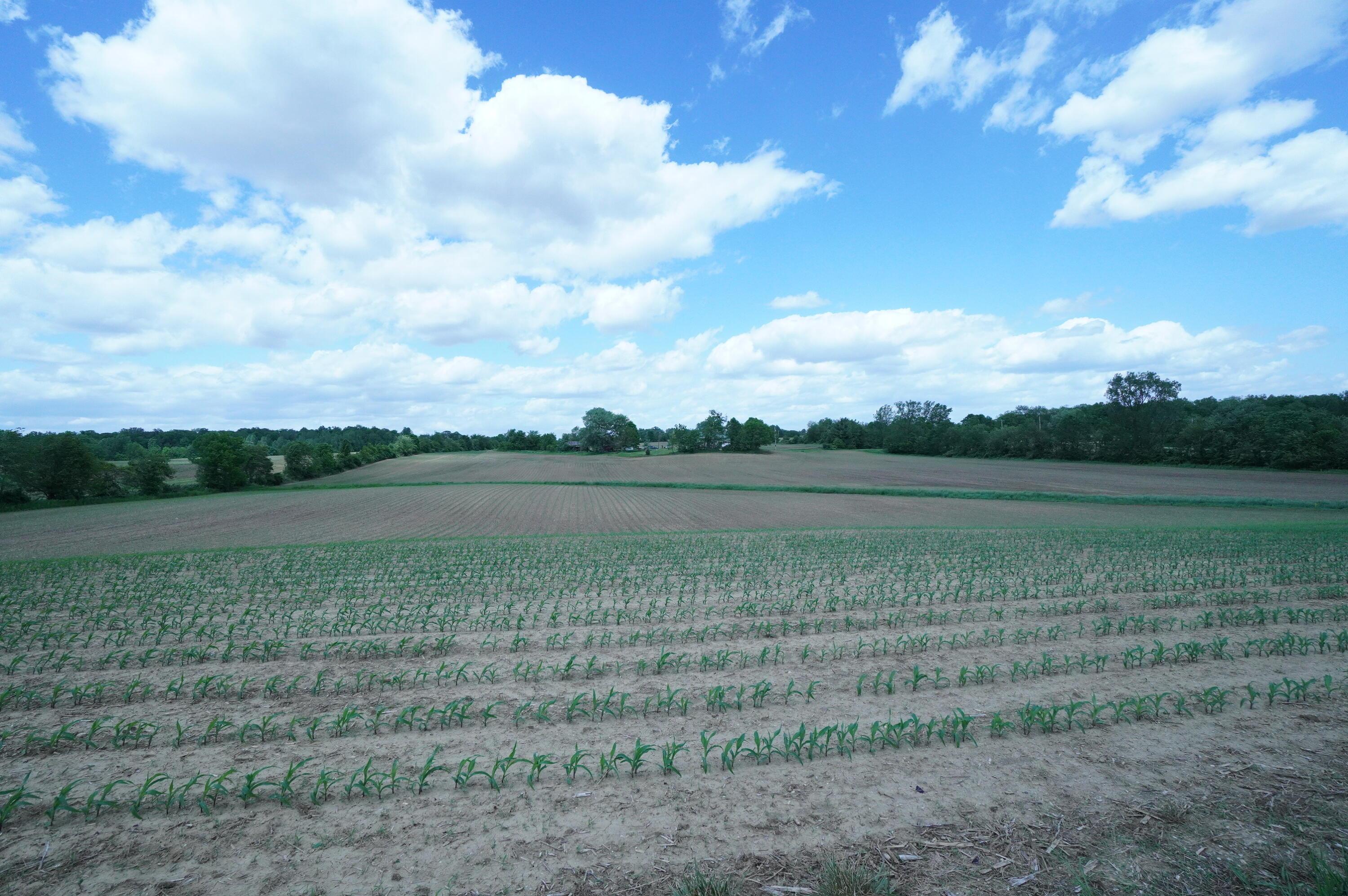 10159 Lake Road, Millersport, Ohio image 3