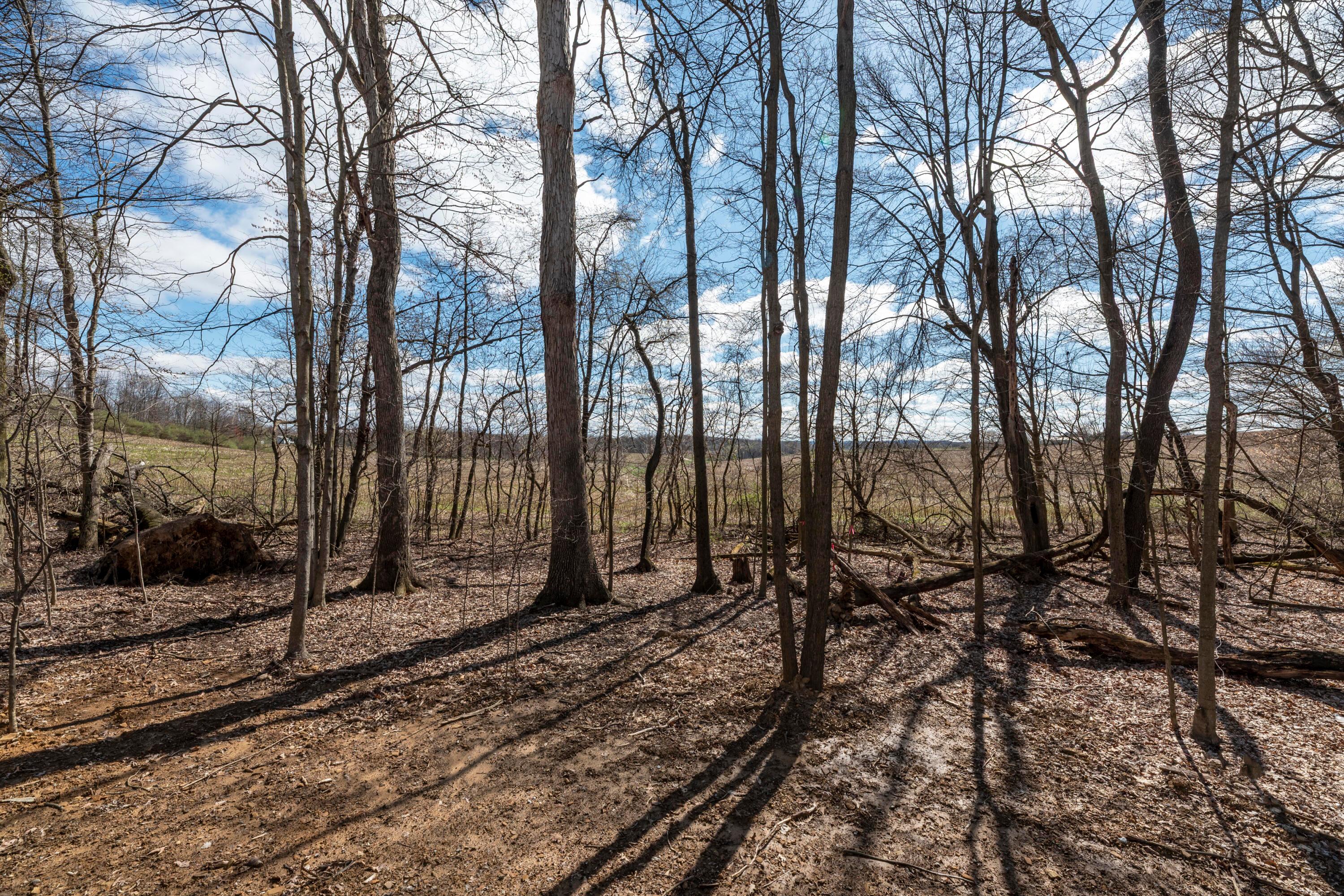 3486 Apple Valley Drive, Howard, Ohio image 49