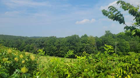 Photo of 1561 Wickline Road, Beaver, OH 45613 (MLS # 226027287)