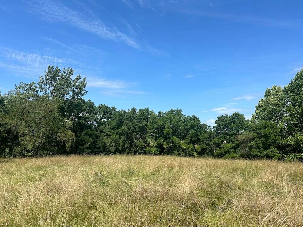 Sheridan Drive, Lancaster, Ohio image 15