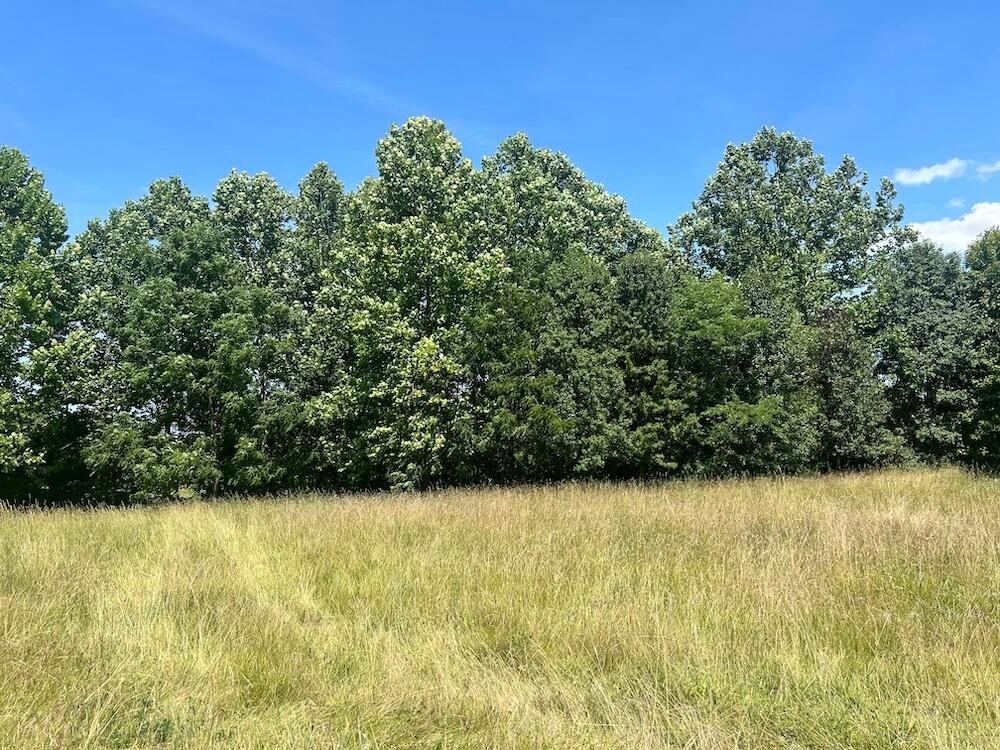 Sheridan Drive, Lancaster, Ohio image 14