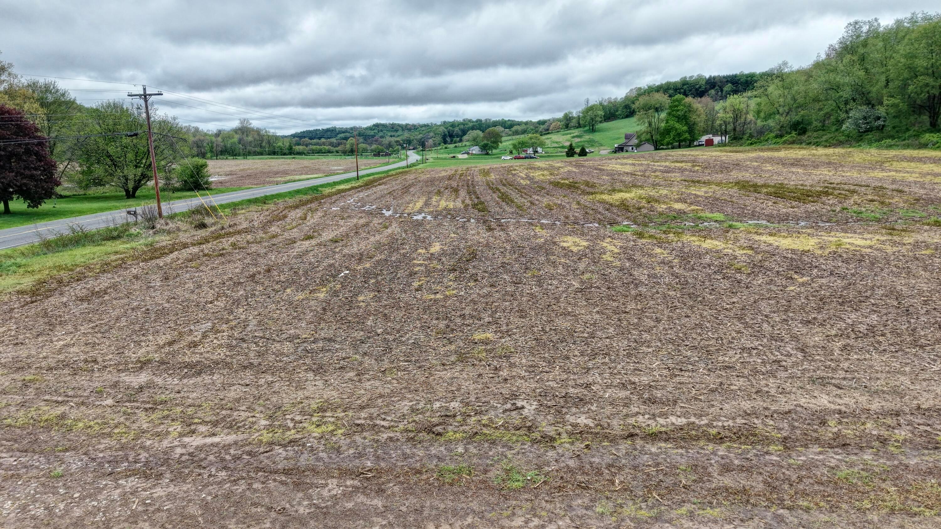 State Route 79, Warsaw, Ohio image 8